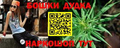 тгк Обь