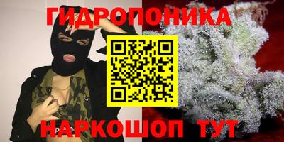 тгк Обь