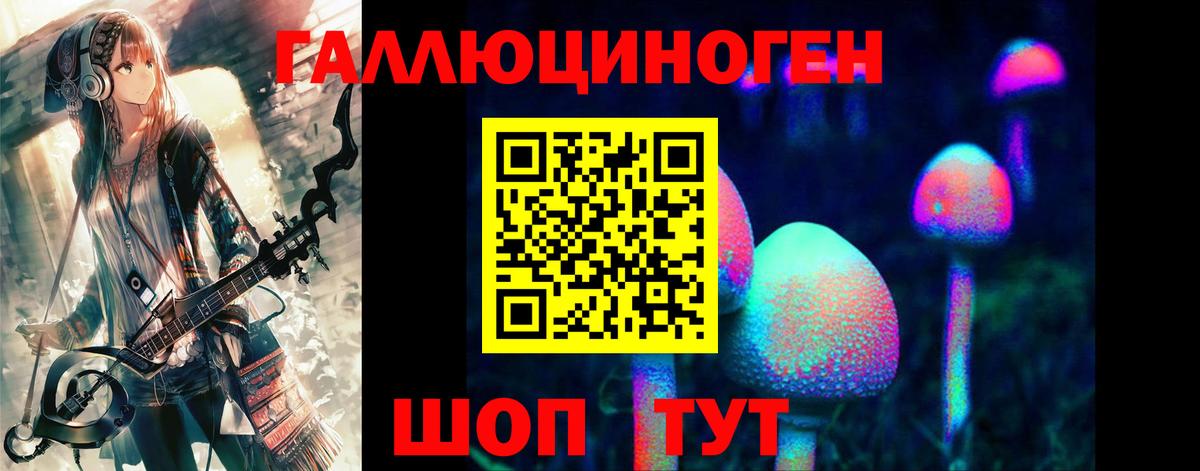 Псилоцибиновые грибы Psilocybine cubensis  Вход с VPN  Тайшет 