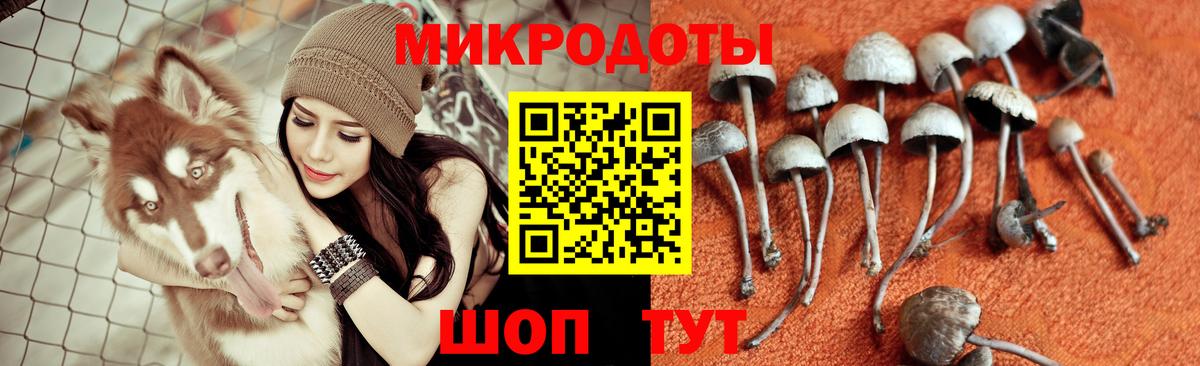 Псилоцибиновые грибы Magic Shrooms Тайшет